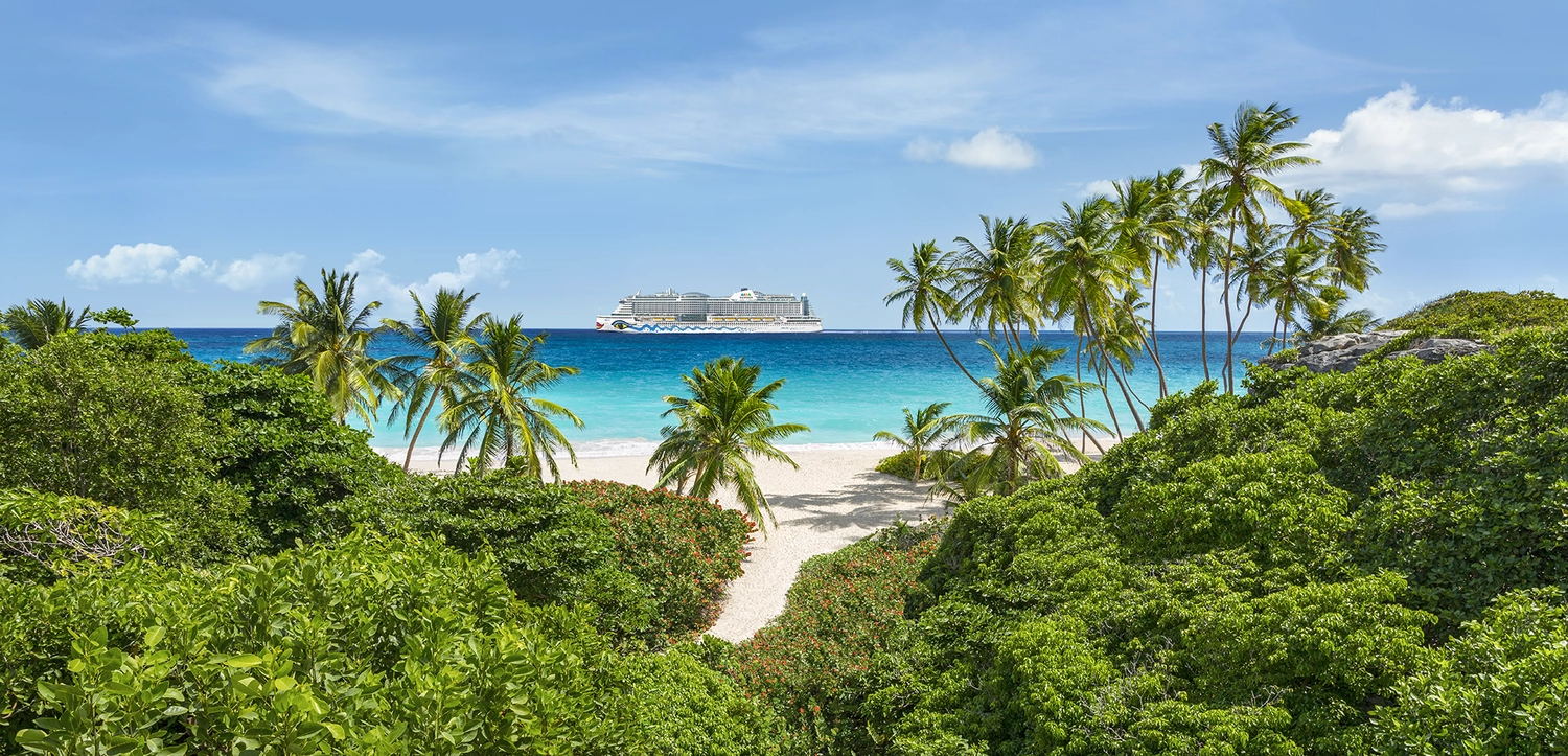 GTS – Reiseservice – Ein tropischer, weißer Sandstrand mit Palmen, durch üppiges Grün hindurch, mit einem Kreuzfahrtschiff auf türkisfarbenem Meer.