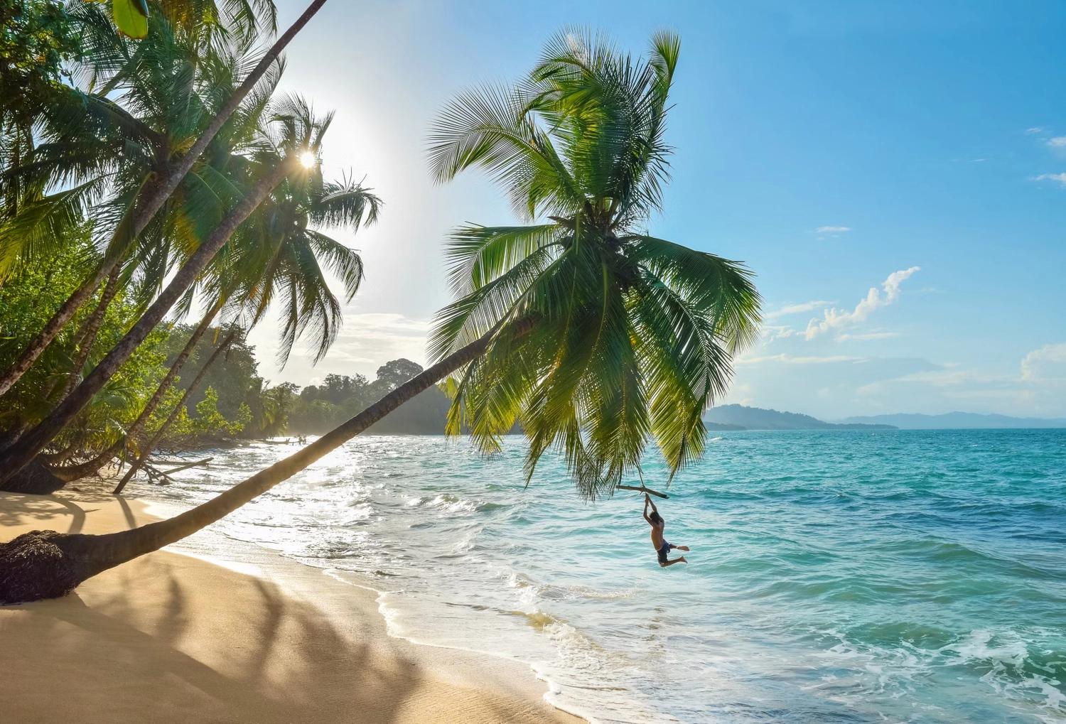 GTS - Reiseservice - Eine Person schwingt an einem Seil, das an einer schiefen Palme befestigt ist, über dem leuchtend türkisfarbenen Meerwasser an einem sonnigen Tropenstrand.